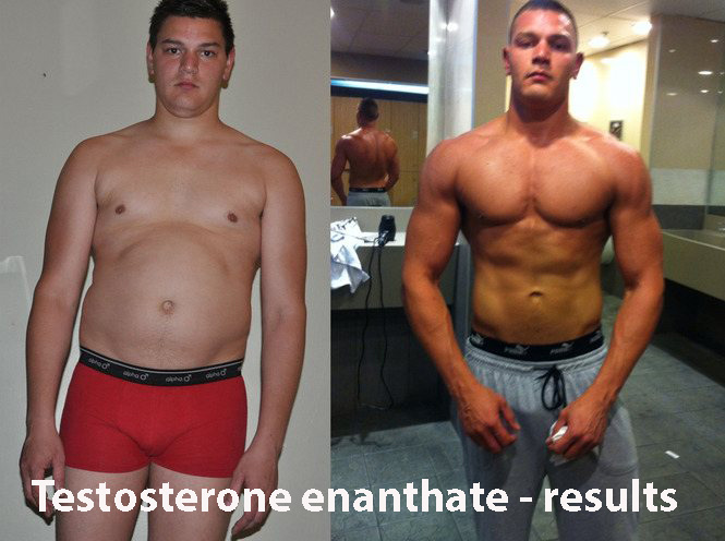 Effects of testosterone enanthate, benefits, results