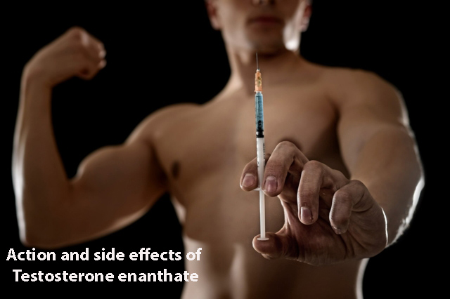 Action and side effects of Testosterone enanthate