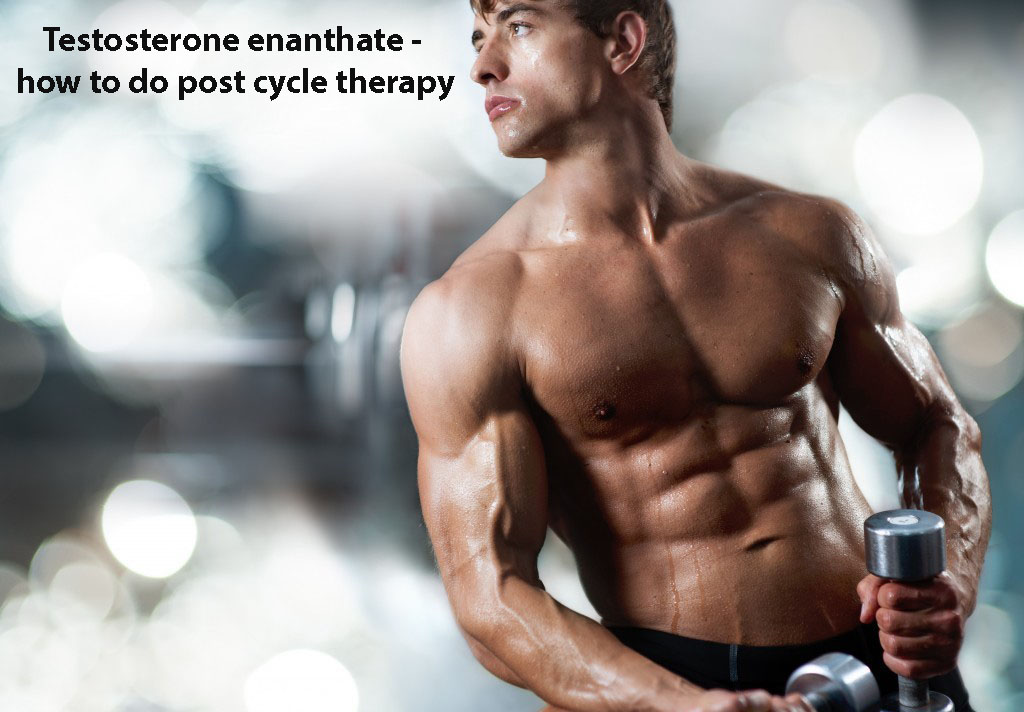 Testosterone Enanthate – how to do post cycle therapy