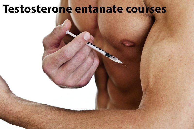 Testosterone entanate courses